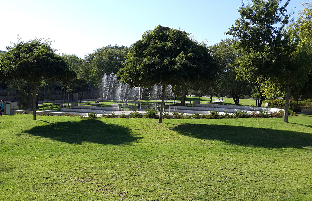 גיזום וכריתת עצים בקריות